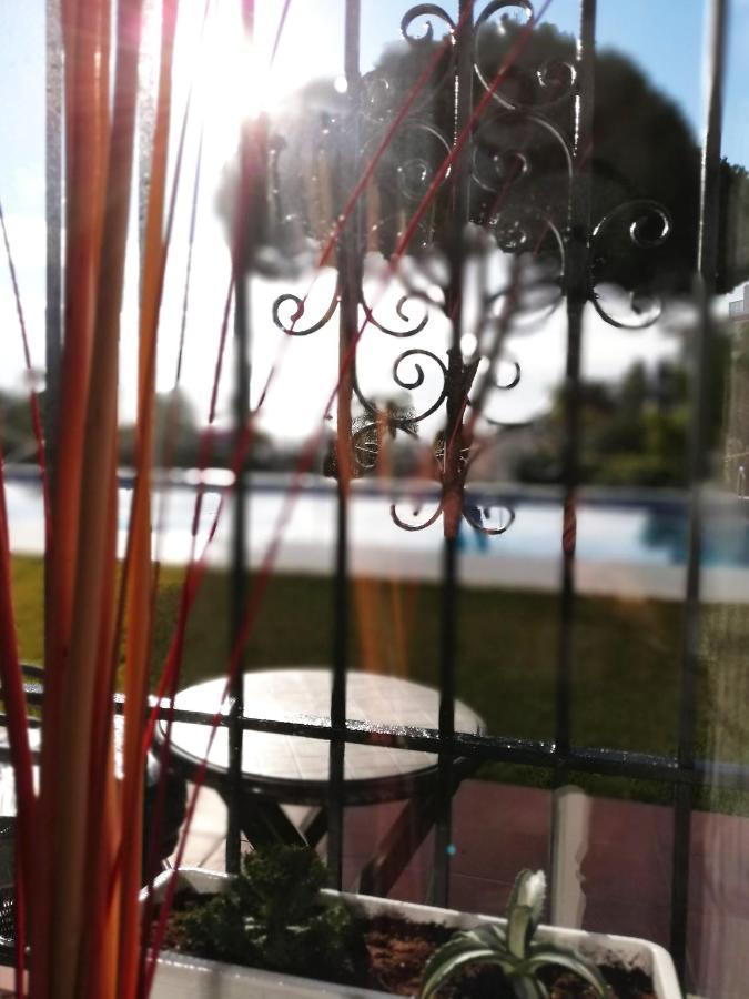 Apartment Verdemar With Sea View And Garden